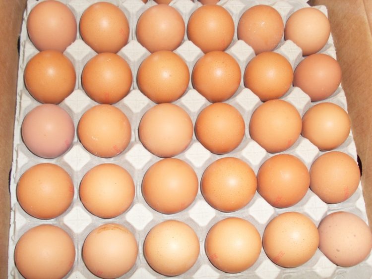 Готвите а немате јајце? – еве што може да го замени во кујната