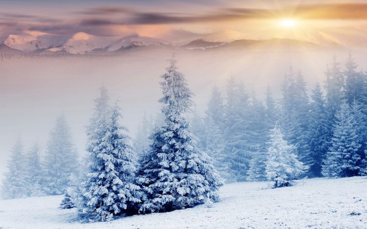 Екстремен студ, зимата го покажа своето – Македонија во бело