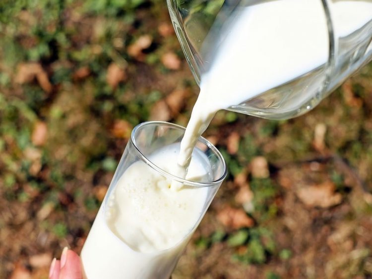 За добро здравје: Млекото од лешник е вистински специјалитет