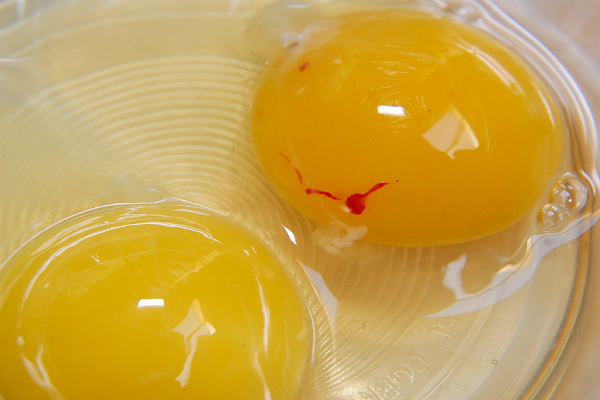 Многу е важно: Знаете ли зошто жолчката на јајцето некогаш има крвава точка?
