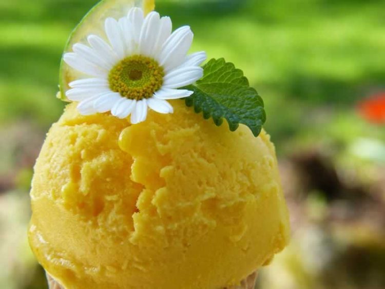 Посен сладолед: Освежувачки десерт кој поттикнува слабеење!
