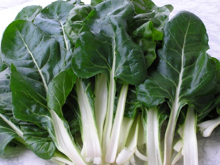 За здраво срце, коски и мозок – јадете го овој зеленчук