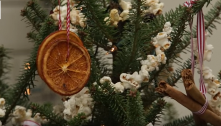 Празнична декорација: Направете елка со помош на прибор за јадење, пластични шишиња… (Видео)